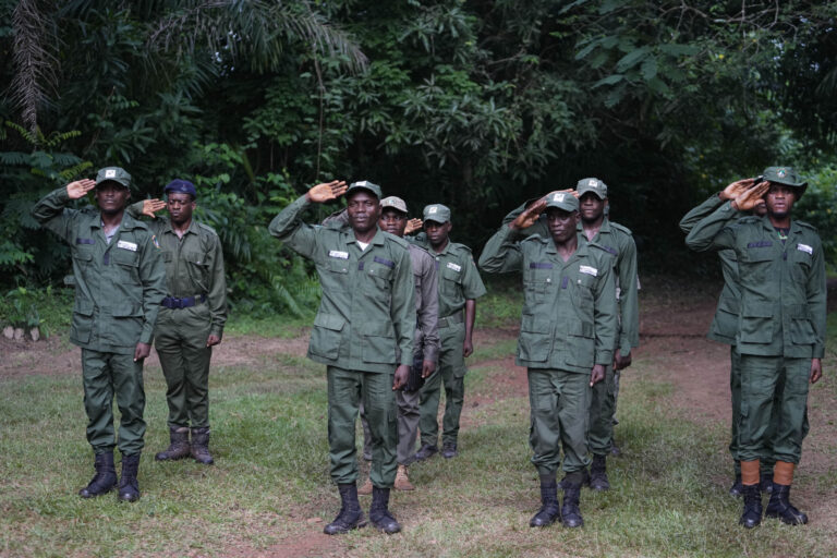 Nigeria Forest Guards Recruitment 2025/2026 Application Form Portal | Apply Now